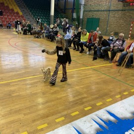 powiększ zdjęcie: Ferie z OSiR-em. Świetnie bawiło się i wypoczywało kilka tysięcy dzieci