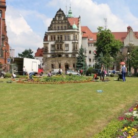 Kto zajmie się utrzymaniem terenów zielonych w centrum. Miasto ogłosiło przetarg
