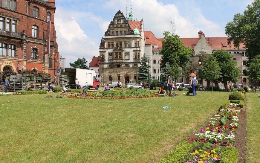 Kto zajmie się utrzymaniem terenów zielonych w centrum. Miasto ogłosiło przetarg
