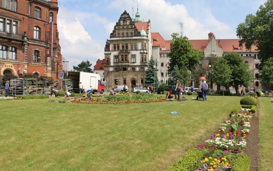 Legnicka firma zajmie się utrzymaniem terenów zielonych w centrum miasta