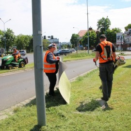 Rozstrzygnięto przetarg na utrzymanie zieleni w pasach drogowych