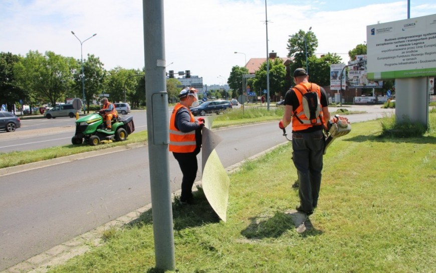 Rozstrzygnięto przetarg na utrzymanie zieleni w pasach drogowych