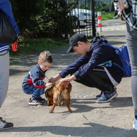 powiększ zdjęcie: Uchodźcy z Ukrainy wyjechali z naszego miasta do Miśni