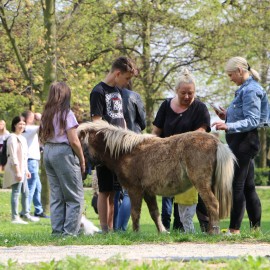 powiększ zdjęcie: Radośnie obchodziliśmy majowe święta. Było wiele atrakcji