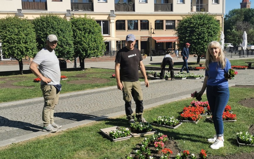 Legnica w kwiatach. Tysiące sadzonek upiększy nasze miasto