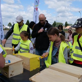 powiększ zdjęcie: Legnica promuje idee Green City. Angażujemy się w szereg proekologicznych akcji