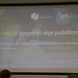 powiększ zdjęcie: Modelowa współpraca miasto-strefa