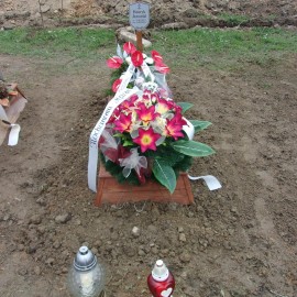 powiększ zdjęcie: Aktualna sytuacja na cmentarzu w Jaszkowie