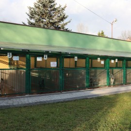 powiększ zdjęcie: LBO. Kolejne inwestycje w Schronisku dla Bezdomnych Zwierząt