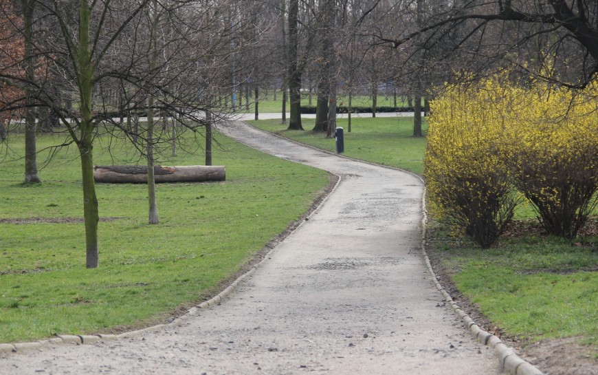 Legnicki Park Miejski po zimie budzi się do życia. Zobacz co jest robione
