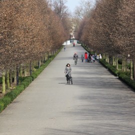 powiększ zdjęcie: Legnicki Park Miejski po zimie budzi się do życia. Zobacz co jest robione
