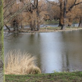 powiększ zdjęcie: Legnicki Park Miejski po zimie budzi się do życia. Zobacz co jest robione