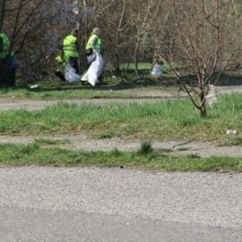 Likwidacja dzikich wysypisk i rekultywacja gruntów. Miasto szuka wykonawcy