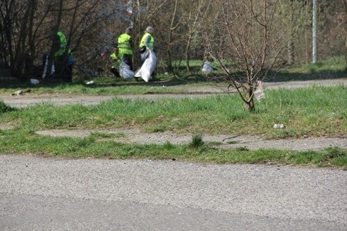 Likwidacja dzikich wysypisk i rekultywacja gruntów. Miasto szuka wykonawcy