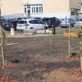 powiększ zdjęcie: LBO. Na osiedlu Piekary powstała klasa pod chmurką