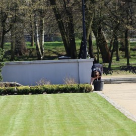 powiększ zdjęcie: W części Parku Miejskiego rozpoczęły się nasadzenia i pielęgnacja roślin