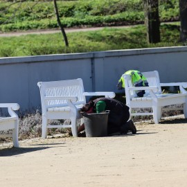 powiększ zdjęcie: W części Parku Miejskiego rozpoczęły się nasadzenia i pielęgnacja roślin
