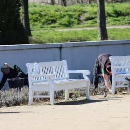 powiększ zdjęcie: W części Parku Miejskiego rozpoczęły się nasadzenia i pielęgnacja roślin