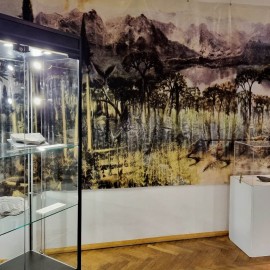 Muzeum Miedzi zaprasza na wędrówkę po karbońskim lesie