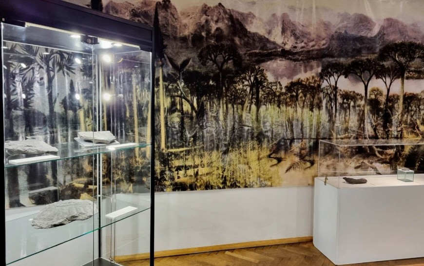 Muzeum Miedzi zaprasza na wędrówkę po karbońskim lesie