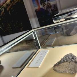 powiększ zdjęcie: Muzeum Miedzi zaprasza na wędrówkę po karbońskim lesie