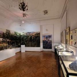 powiększ zdjęcie: Muzeum Miedzi zaprasza na wędrówkę po karbońskim lesie