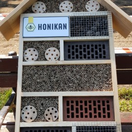 powiększ zdjęcie: Łąka kwietna w parku Miejskim