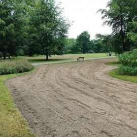 Łąka kwietna w parku Miejskim