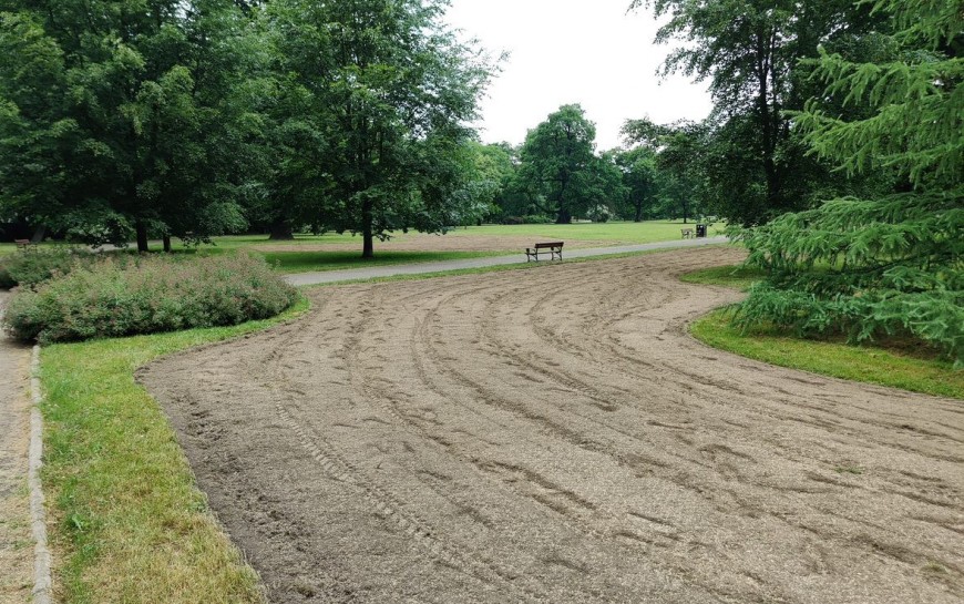 Łąka kwietna w parku Miejskim