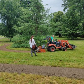 powiększ zdjęcie: Łąka kwietna w parku Miejskim