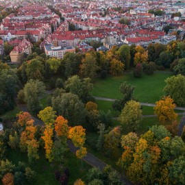 Ankieta dotycząca preferencji i zachowań komunikacyjnych