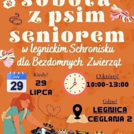 Adoptuj psa seniora z legnickiego schroniska