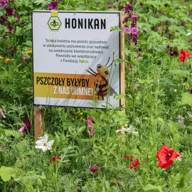 powiększ zdjęcie: Zapraszamy do parku na łąkę kwietną. Właśnie rozkwitła niesamowitą paletą barw