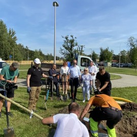 powiększ zdjęcie: 70 drzew z okazji 70 lat Huty Miedzi w Legnicy