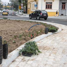 powiększ zdjęcie: Przebudowa placu Słowiańskiego - rozpoczęły się nasadzenia zieleni