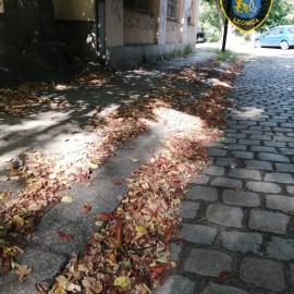 powiększ zdjęcie: Straż Miejska przypomina o obowiązkach porządkowych właścicieli nieruchomości