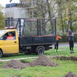 powiększ zdjęcie: Nowe nasadzenia zieleni na Eko-Skwerze przy ul. Horyzontalnej