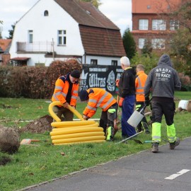 powiększ zdjęcie: Nowe nasadzenia zieleni na Eko-Skwerze przy ul. Horyzontalnej