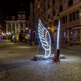 Legnica walczy o tytuł Świetlnej Stolicy Polski