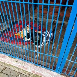 W legnickim schronisku zwierzęta mają ciepło i pełne miski