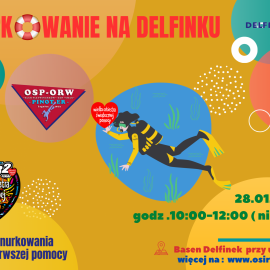 Zanurkuj na Delfinku i wesprzyj Wielką Orkiestrę Świątecznej Pomocy