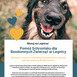 powiększ zdjęcie: Głosuj na Legnicę i pomóż Schronisku dla Bezdomnych Zwierząt w Legnicy!