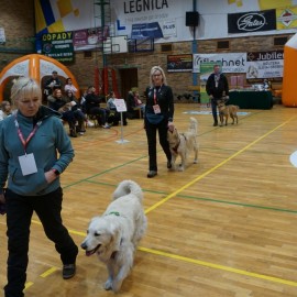 Ponad 40 wystawców pochwaliło się swoim zwierzątkiem