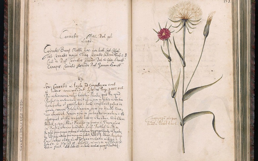 Niezwykłe spotkanie z historią i botaniką Śląska