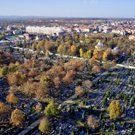 Kto przebuduje cmentarną alejkę? Miasto szuka wykonawcy