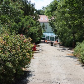 powiększ zdjęcie: Zobacz jak przebiega rewitalizacja parkowych alejek