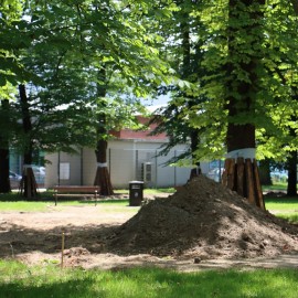 powiększ zdjęcie: Zobacz jak przebiega rewitalizacja parkowych alejek