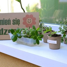 powiększ zdjęcie: Powitanie wakacji w SDK Atrium