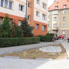 Rewitalizacja podwórza na Kartuzach. Miasto szuka wykonawcy