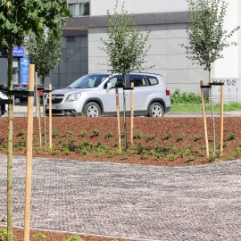 powiększ zdjęcie: Zakończono modernizację podwórza przy ul. Zielonej